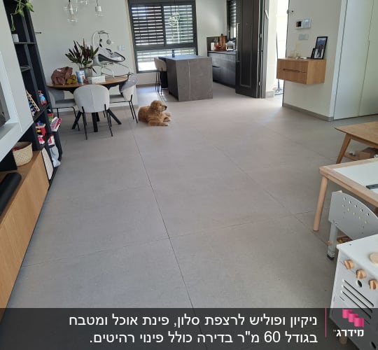 רצפה נקייה בחדר מגורים עם רהיטים וכלב